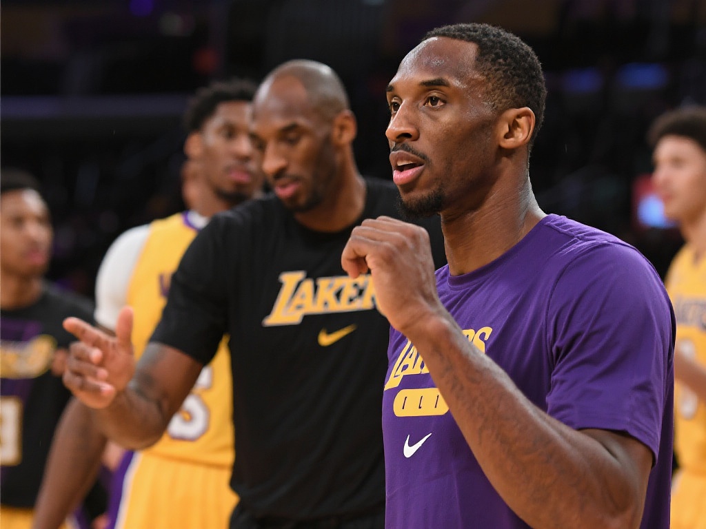 赛数据的球 赛数据的球